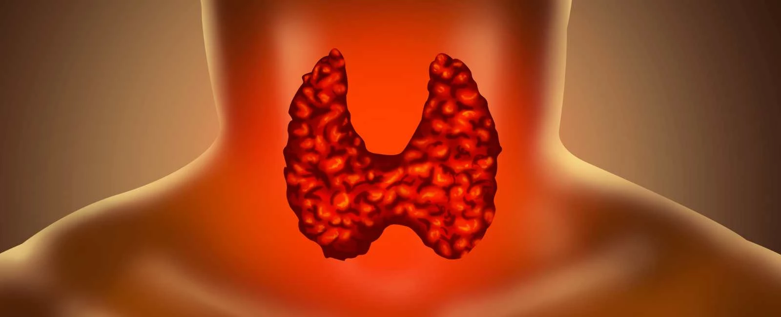 ¿Toma Usted Medicamentos Para la Tiroides?